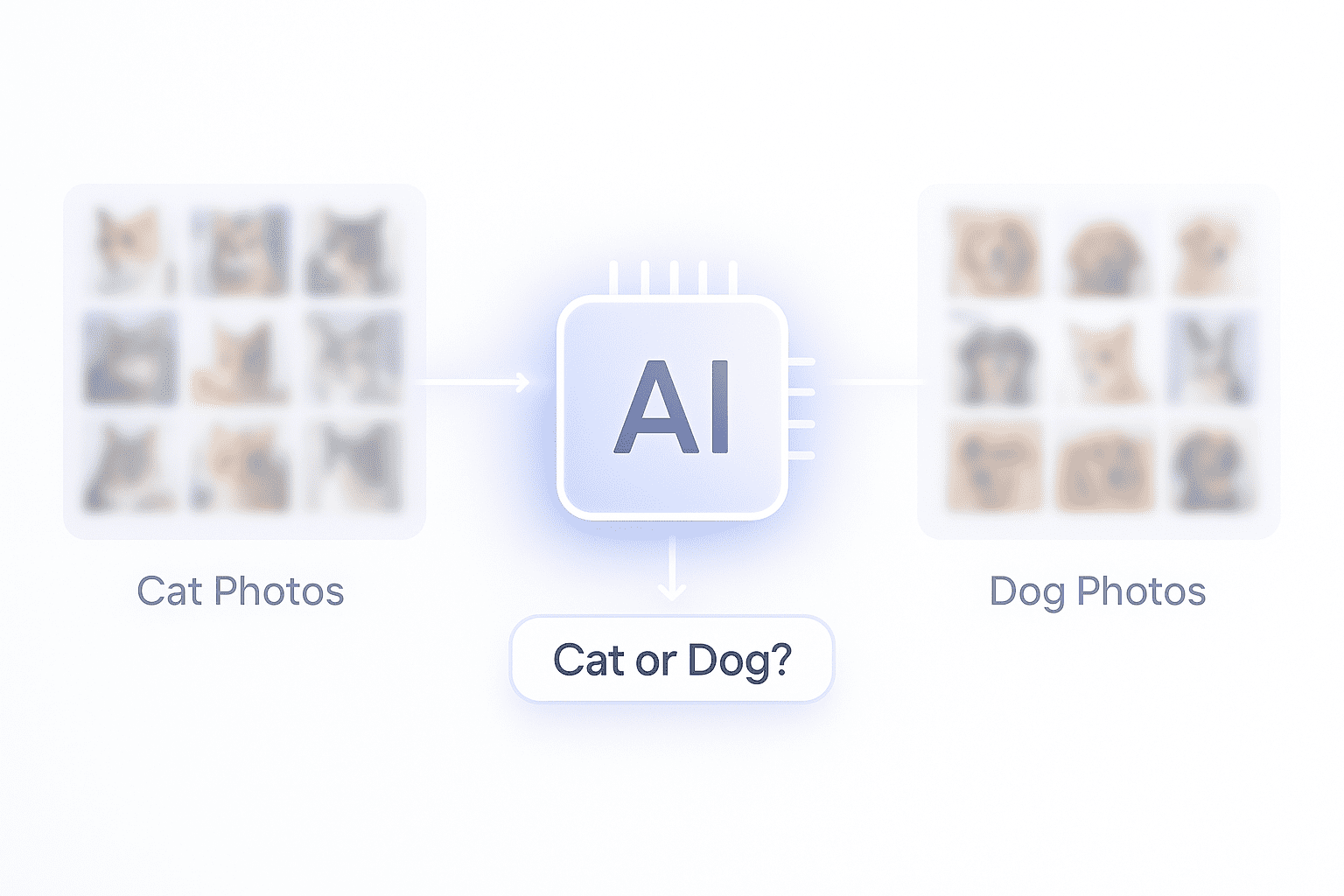 “AI image recognition example showing a neural network classifying cat and dog images”